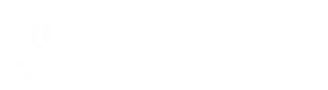 Your logo